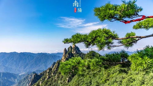交通运输路线攻略