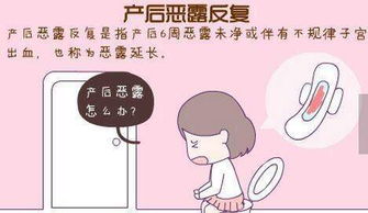 二、 生活方式与情绪的混搭配方