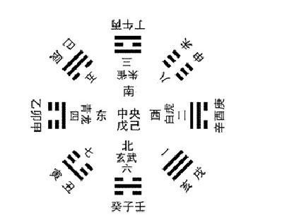 五行奥秘， 地支密码：探寻二者间的神秘联系