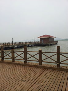 海星浴场：缓慢生活的体验地