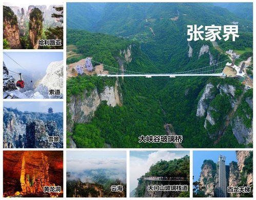 机场周边：2026年最新避坑指南