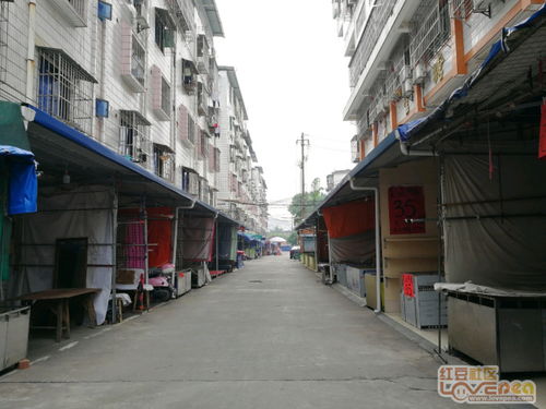 从熙熙攘攘到冷冷清清