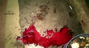 第四章：迷雾重重