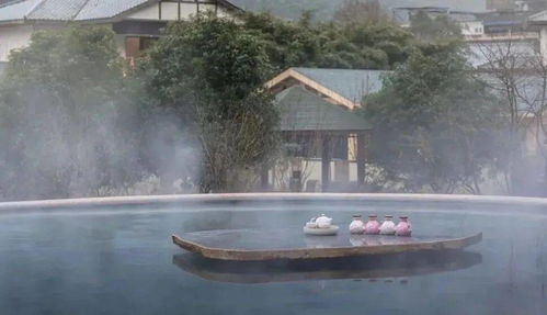 三、 温泉池子里的谜团