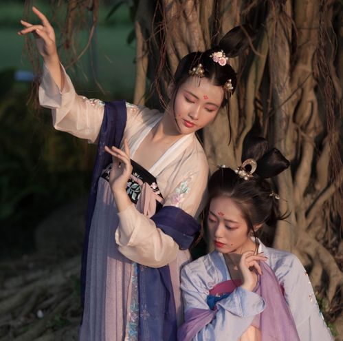 生肖龙的霸气与生肖凤的涅槃