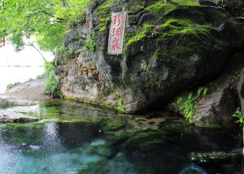 住宿套餐就是智商税