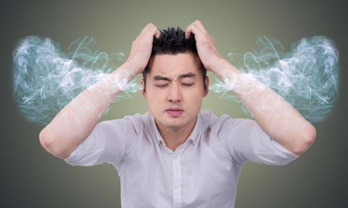 明星八字身弱，如何调整运势增强身极弱八字？
