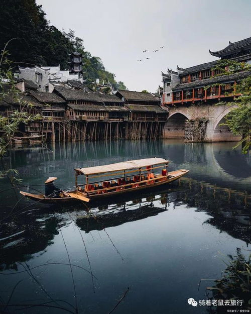 引子：一场穿越时空的邂逅