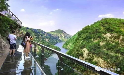 商业陷阱大揭秘