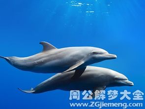 三、星座角度下不同星球能量交互作用于解析表格展示（仅供参考）: