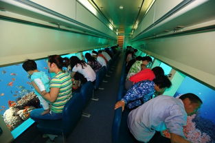 震惊！一家三口在三亚海底世界的血泪史！2026年黄历显示这天千万别去！