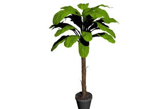 哪些植物不适合家庭风水，如何改造成吸阴植物？