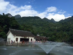 你以为的风景如画 VS 现实中的鸡飞狗跳