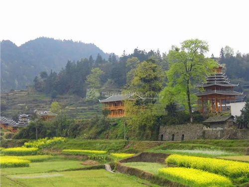 牛角坝新农村：乡村版迪士尼