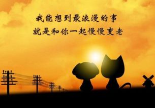 风水与生肖解读 (原创)