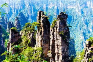 第四天：金鞭溪与十里画廊的慢时光