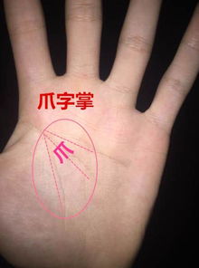 手相中鸡爪纹路和圆环纹同时出现，这是什么手相特征？