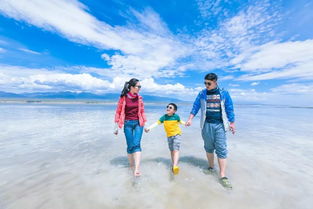 小火车上的奇妙体验