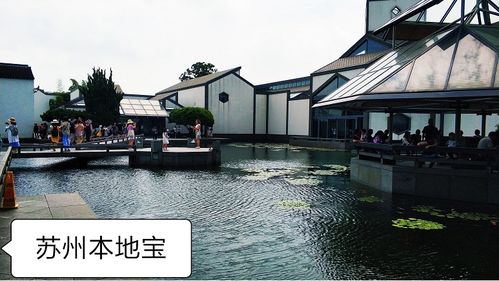 怎样进行预约？