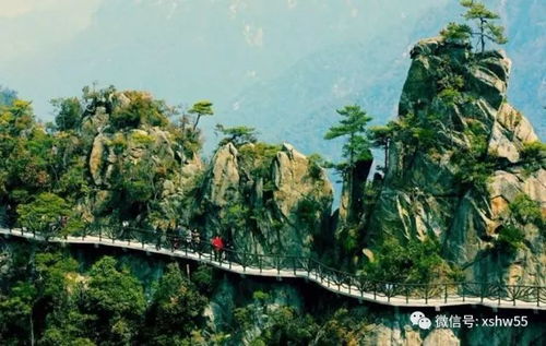 初识较大明山