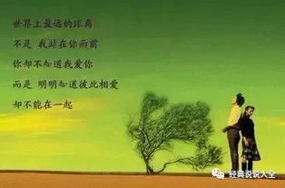 三、 心情句子大集合（乱序版）