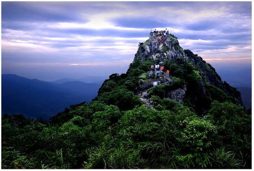五老峰生态优美 风景秀丽