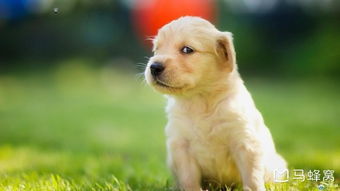 800块玩4天？骗你是小狗！