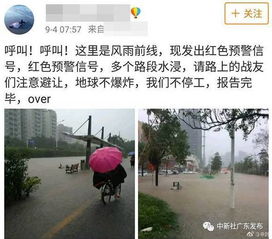 二、政府介入：敲锣打鼓还是摆设？