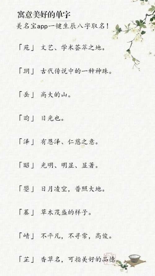 三、胡姓女孩 :从 ''胡乱取 ''到 ''走心选 '',只差一个脑洞