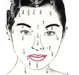 救命！我的脸上长了好多