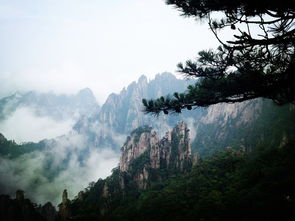 第三天：西海较大峡谷与离别前的狂欢