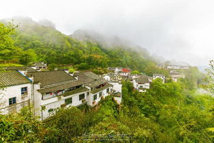 仙寓山：老年人的避暑圣地还是养老院？