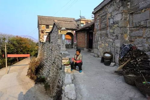 五、那些不得不提的“噪音”与碎片：大山村的多面人生