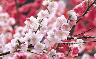 零碎噪音段落（随意插入）