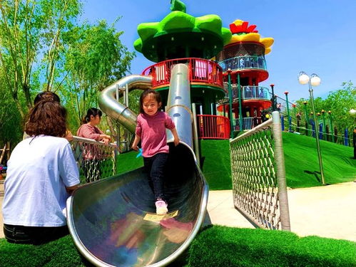 植物园大冒险：这里的花草比人还寂寞