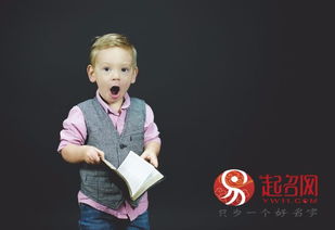 给你准备了一份“灵感图鉴”（其实就是乱七八糟的一堆字）