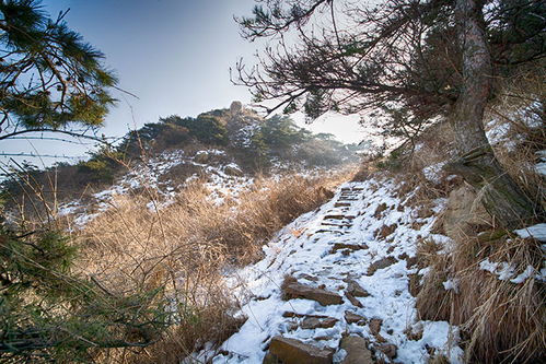 登山步道—一步一步走向未知（当然也有有可能是一条错误导向路线）