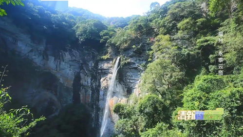 1. 经济持续发展型酒店