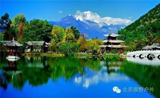 那些年我们踩过的坑之门票大乱斗