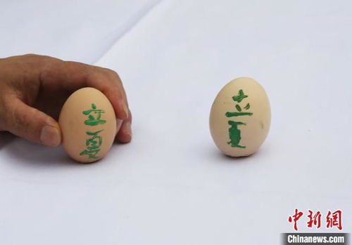 斗蛋风俗起源揭秘：古俗演变，传承至今爆款揭秘！