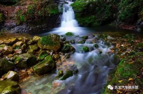 丁梦溪，溪水潺潺诗意长，梦回何处寻芳踪？——改名迷途中的诗情画意