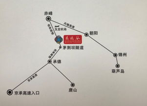 3. 差异化策略建议