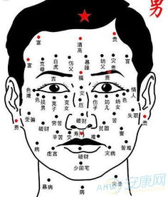 颈部正中之点：命运的隐秘密码