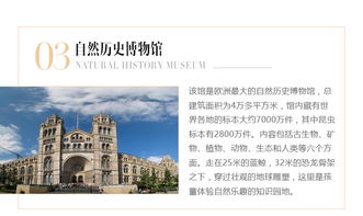 多邻国式深度：语言学习与旅行的奇妙碰撞