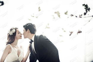 八字不合为何注定婚姻不幸，老婆提出离婚我该怎么办？
