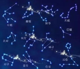火象星座VS土象星座