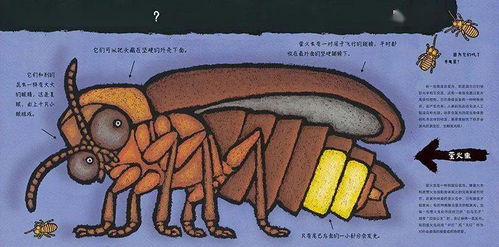 名字，不仅仅是文字，更是一种文化底蕴、一种情感、一种寄托…