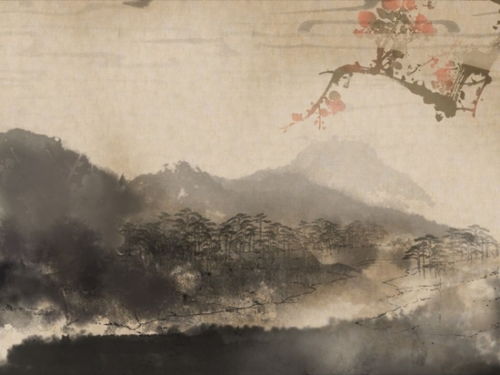 牛背上的沉重风水