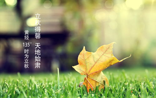 处女座：洁癖般的消暑标准