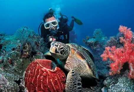 五、费用与性价比：算下来到底值不值得？（随意拼凑版）